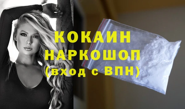 дживик Медвежьегорск