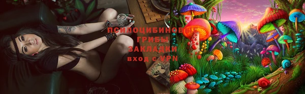 гидропоника Магас