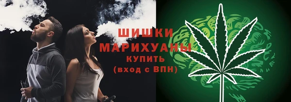 Альфа ПВП Медногорск