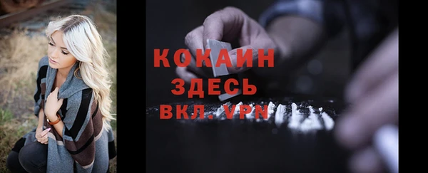 дживик Медвежьегорск