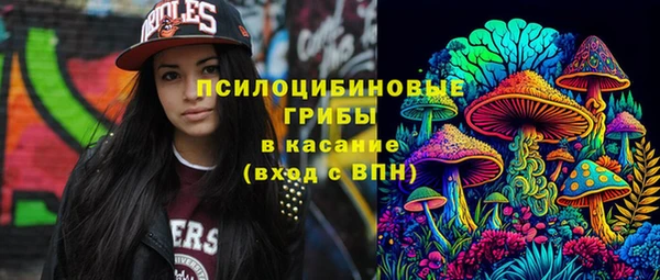 Альфа ПВП Медногорск