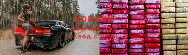 дживик Медвежьегорск