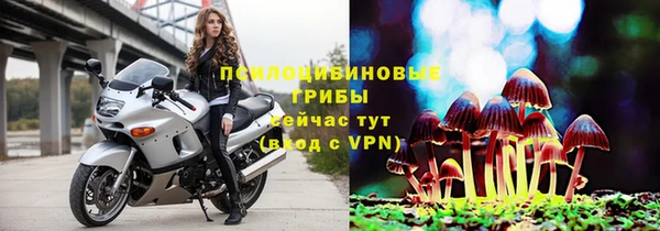 трава Мегион